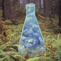 Eco-Friendly Adhesives and Coatings
